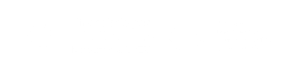 banner financiado por la union europea
